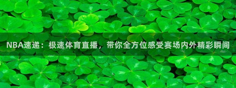 nba小九直播免费观看直播在线：NBA速递：极速体育直播，带你全方位感受赛场内外精彩瞬间