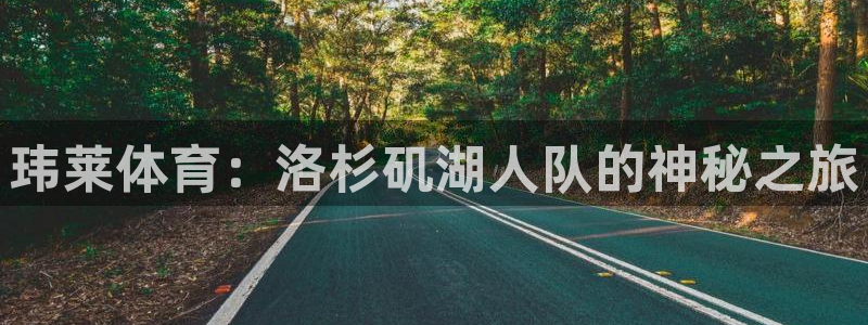 小九足球免费直播高清观看：玮莱体育：洛杉矶湖人队的神秘之旅