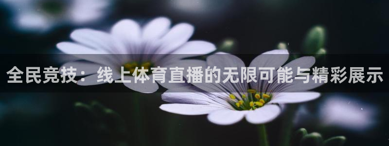 英超直播小九直播：全民竞技：线上体育直播的无限可能与精彩展示
