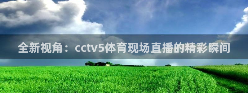小九体育直播：全新视角：cctv5体育现场直播的精彩瞬间