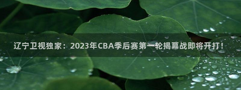 足球小九直播在线观看：辽宁卫视独家：2023年CBA季后赛第一轮揭幕战即将开打！