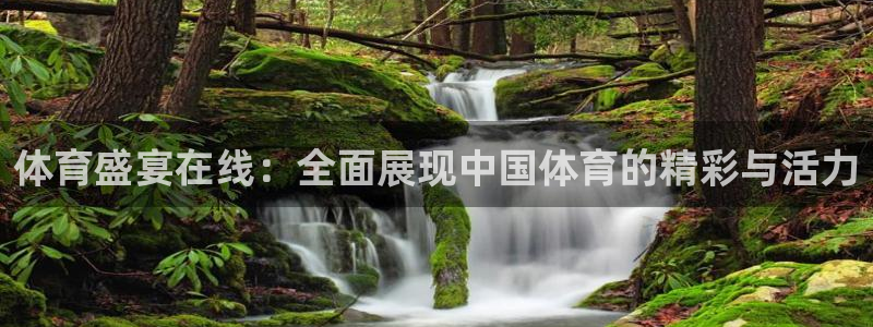 nba免费直播在线直播小九：体育盛宴在线：全面展现中国体育的精彩与活力