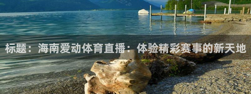 小九儿直播：标题：海南爱动体育直播：体验精彩赛事的新天地