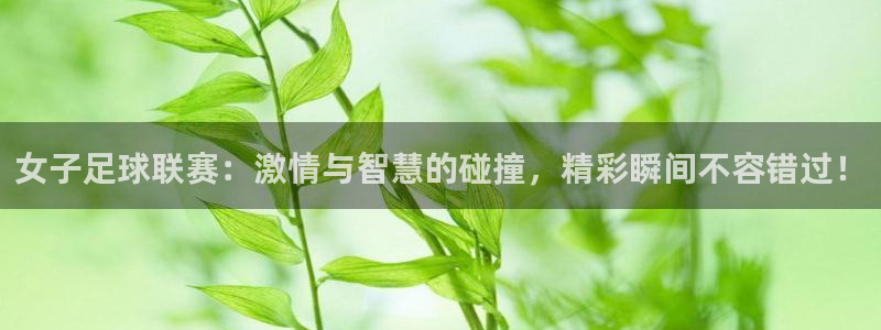 小九nba直播在线观看：女子足球联赛：激情与智慧的碰撞，精彩瞬间不容错过！