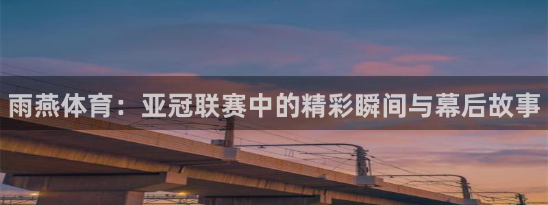 小九直播nba免费观看高清：雨燕体育：亚冠联赛中的精彩瞬间与幕后故事