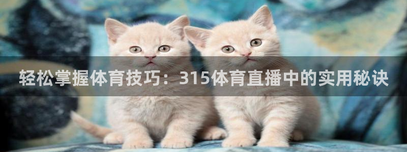 小九体育直播在线观看免费高清：轻松掌握体育技巧：315体育直播中的实用秘诀