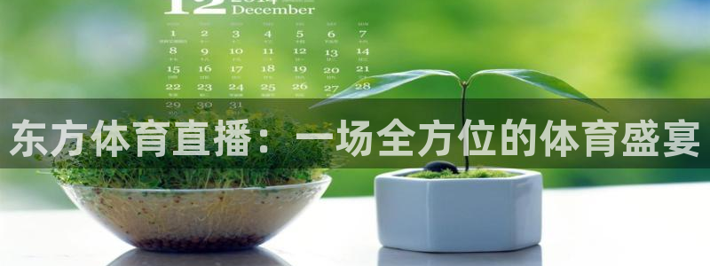 小九体育直播官网：东方体育直播：一场全方位的体育盛宴