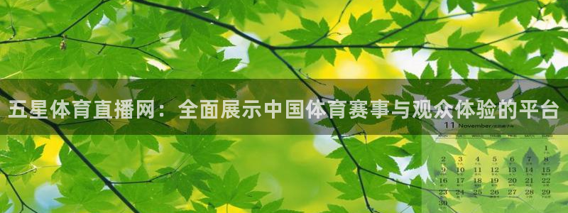 小九直播间足球直播：五星体育直播网：全面展示中国体育赛事与观众体验的平台