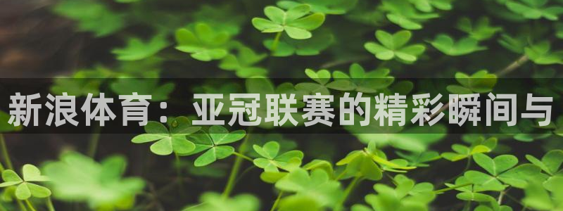 小九足球直播免费观看：新浪体育：亚冠联赛的精彩瞬间与