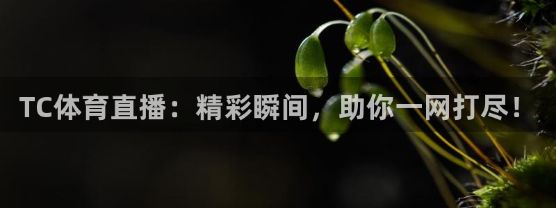 小九nba直播免费：TC体育直播：精彩瞬间，助你一网打尽！