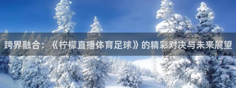 小九nba直播在线观看：跨界融合：《柠檬直播体育足球》的精彩对决与未来展望